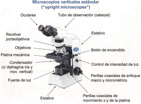 C Mo Funciona El Microscopio