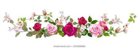 Panoramic View Bouquet Of Roses Spring Blossom Horizontal Border