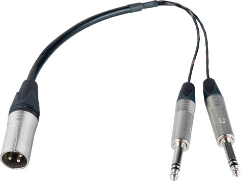 In some audio equipment, a trs connection may be offered in addition to an xlr balanced line connector. XLR Male to Dual 1/4 TRS Male Y-Cable 12 Inch