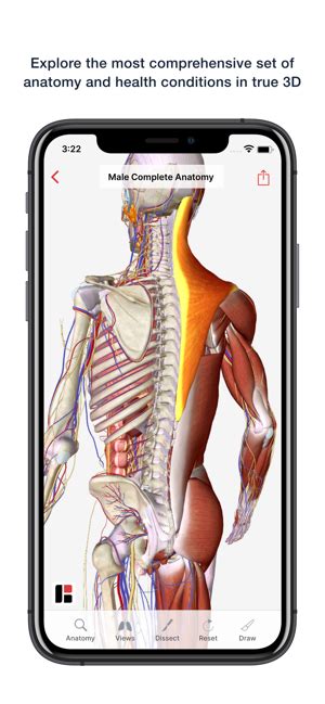‎3d Human Anatomy And Disease On The App Store
