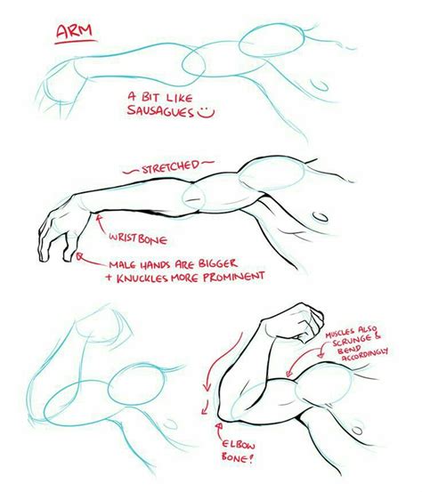 Músculos Al Estilo Manga Arm Drawing Figure Drawing Reference Body