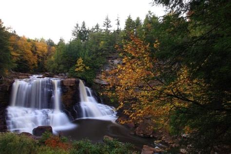 A Large Waterfall Surrounded By Trees In The Fall Season With Leaves