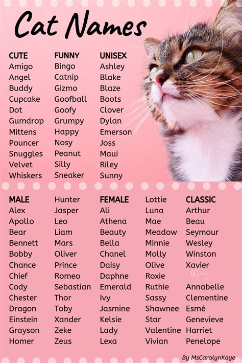 Cute Cat Names Male