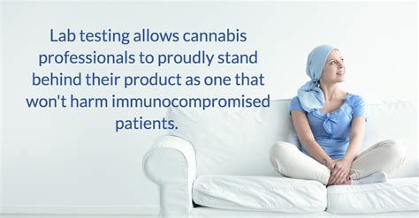 You can make sense of it better by breaking it down into two doctors and health authorities like the cdc consider a person immunocompromised if their immune. A NURSES PERSPECTIVE: Cannabis and The Immunocompromised ...