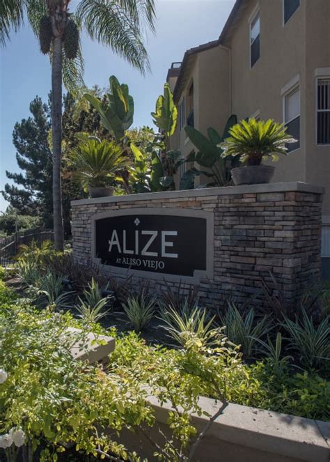 Pet Friendly Apartments In Aliso Town Center