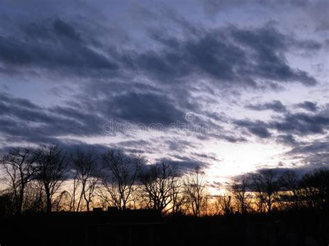 Purple Sky New Years Eve Sunset In Washington Dc 库存照片 图片 包括有 本质 剪影
