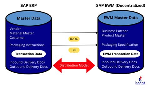 Options For Deploying Sap Extended Warehouse Management With S4hana