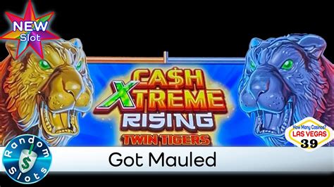 ⭐️ New Cash Xtreme Rising Twin Tigers Slot Machine Realities Youtube