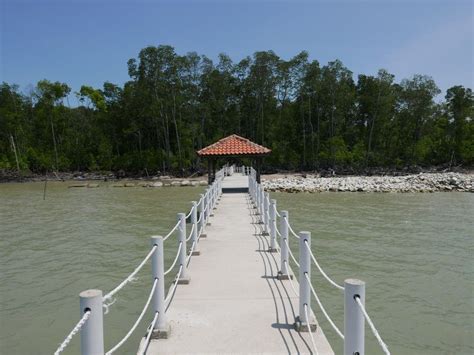 See tripadvisor's 7,034 traveler reviews and photos of tanjung bungah tourist we have reviews of the best places to see in tanjung bungah. Tanjung Piai National Park, Malaysia - part 3 | National parks, Park, Mangrove swamp