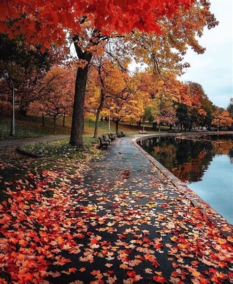 Pin Di Clara Alfano Su Autumn Scenery Nel 2020 Paesaggio Autunnale