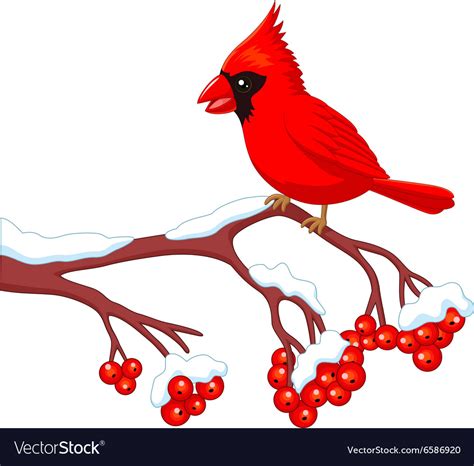 Cute Cardinal Bird Clip Art My Xxx Hot Girl