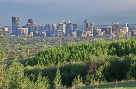 Find stock ideas, analysis and top stock picks at thestreet. Hiking in Calgary's Nose Hill Park