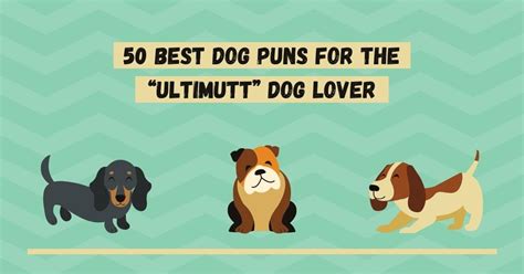 50 Best Dog Puns For The “ultimutt” Dog Lover I Love Veterinary
