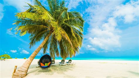 Tropical Beach Maldives Tropical Landscape Summertime Tourism