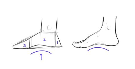 How To Draw Feet The Easy Step By Step Guide Gvaats Workshop