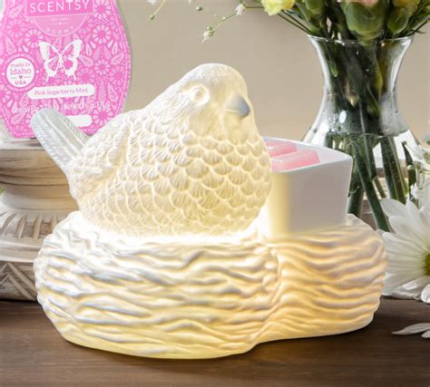Birds Of Feather Scentsy Warmer Mar 2021 Warmer The Safest Candles