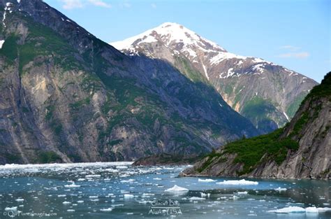 Alaskas Inside Passage From Pugent Sound To Glacier Bay