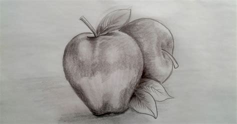 Contoh Sketsa Gambar Buah Apel