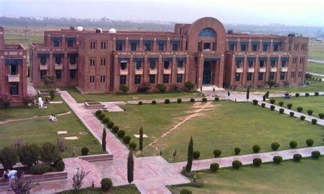 șuncă Tâlhar Bine Educat Riphah International University Lahore Stoc