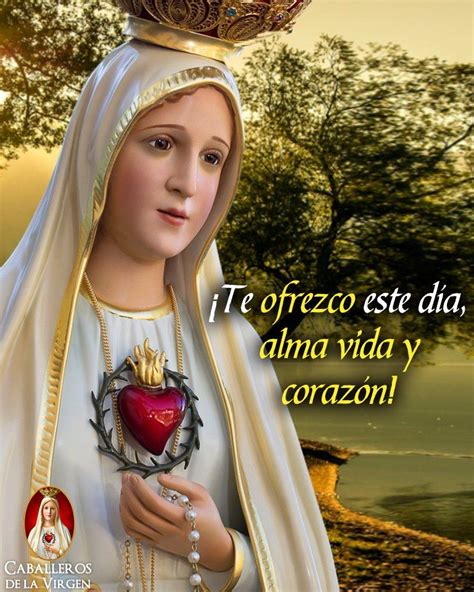 20 Caballeros De La Virgen Cabvirgen Twitter Mother Mary Images