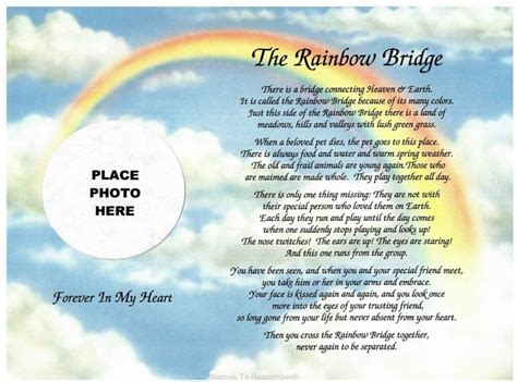 See more ideas about rainbow bridge, dog quotes, pet loss grief. Amazon.com: Cazual Creations in Memory of Pet Rainbow ...