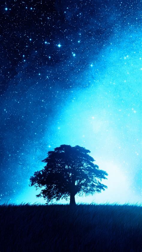 Night Sky Tree Iphone Wallpaper Iphone Wallpapers