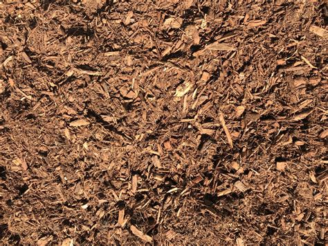 Moist Forest Floor Mulch Mgs And Hire