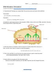 Mutation virtual lab worksheet answersshow all. Copy_of_Copy_of_DNA_Mutation_Simulation_Worksheet - Name_Claudia Cordero DNA Mutation Simulation ...