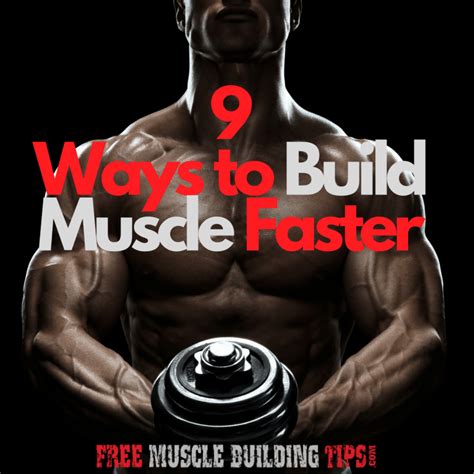 5 Proven Ways To Build Muscle 5x Faster Build Muscle Fast Build