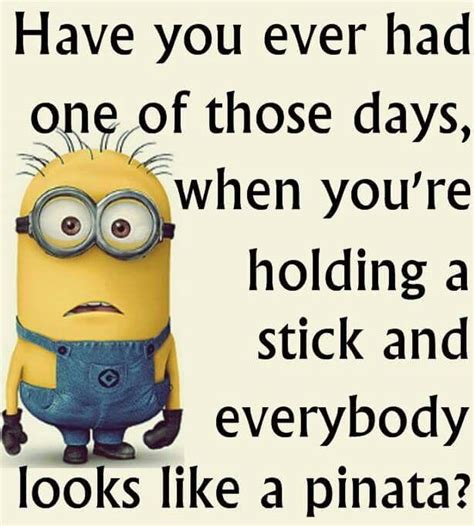 Pin By Rhonda Jones On Memes Jokes For The Day Minions Funny