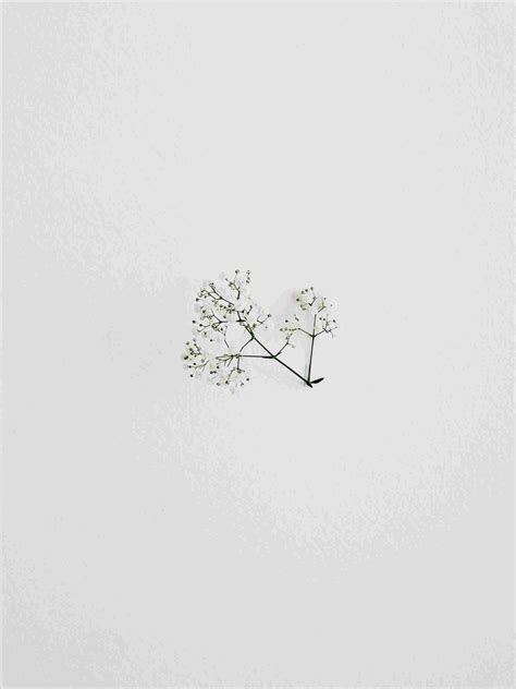 Find & download free graphic resources for minimalist. Minimalist Drawing Aesthetic Wallpapers - Wallpaper Cave