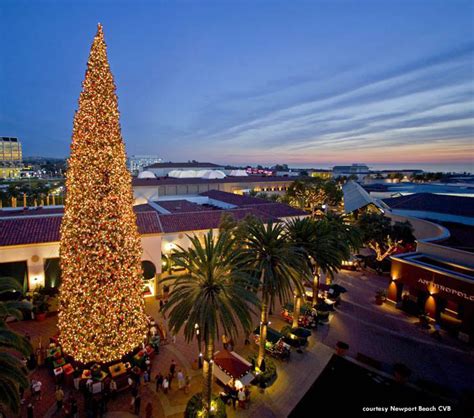 California Christmas Tree Ceremonies And Displays