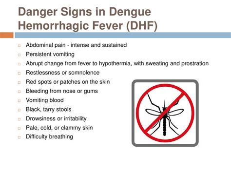 Dengue Symptoms Red Spots Filedengue Rash 2 Wikimedia Commons