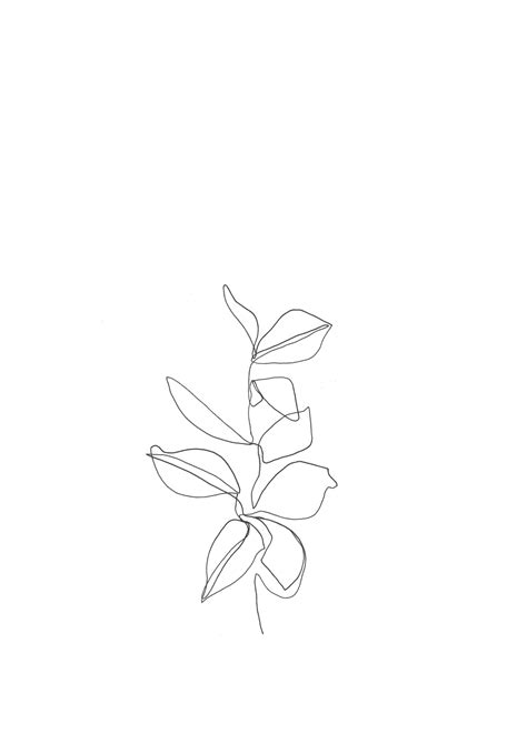 Search photos one line drawing. One line minimal artwork - plants and leaves - minimalist ...