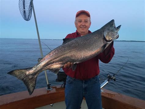 Lake Michigan Salmon Fishing 10422