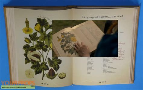 The language of flowers deftly weaves the sweetness of newfound love with the heartache of past mistakes. Anne with an E (2017-2019) Language of Flowers Book ...