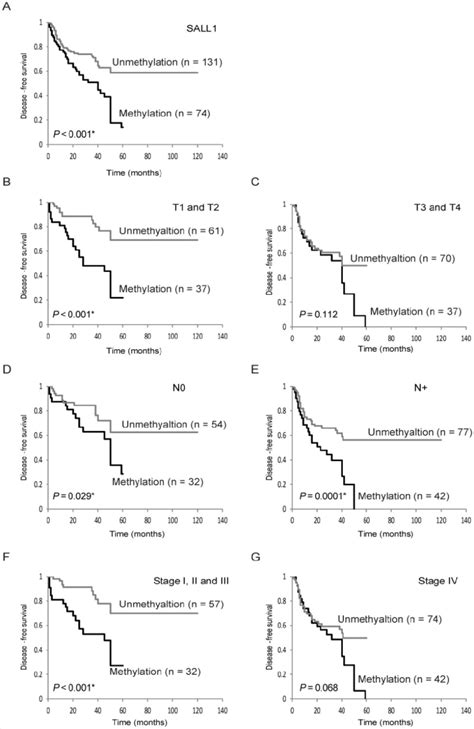 Kaplan Meier Survival Curves For Head And Neck Squamous Cell Carcinoma
