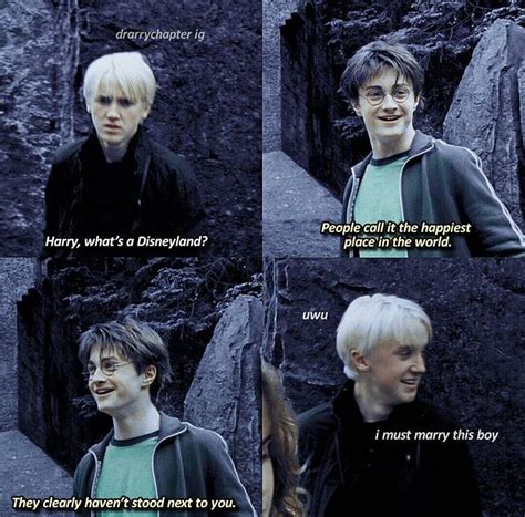 Im Sorry I Like Darry And You Cant Stop Me Draco Harry Potter