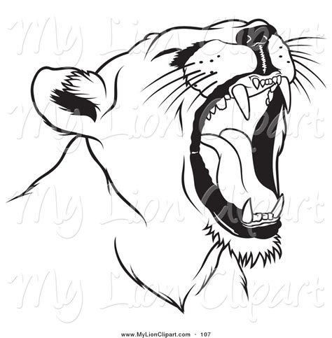 Lion Roaring Drawing At Getdrawings Free Download