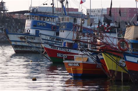 Tiene el propósito de regular los efectos jurídicos derivados de su vida afectiva en común de carácter estable y permanente. Los principales puertos de Chile | minube