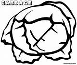 Cabbage Coloring Coloringway sketch template