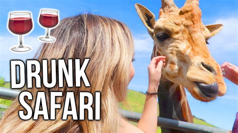 Feeding Zoo Animals While Drunk Youtube