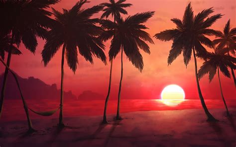 Sunset Wallpaper 4k Tropical Trees Silhouette Dawn Warm Nature 2548