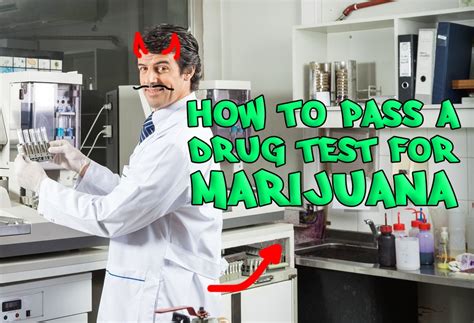 Got questions or need advice on how to pass a it's inexpensive, the samples are taken with simple swabbing, and the results are reliable. How to Pass a Drug Test for Marijuana - Mary Jane's Diary