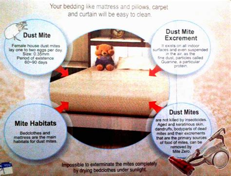 In addition to washing and spraying the plant, you be sure to throw the infested leaves into the garbage outside of your house! ARFT Buy Cheap Online: Mite Zero Dust Mite Vacuum Cleaner