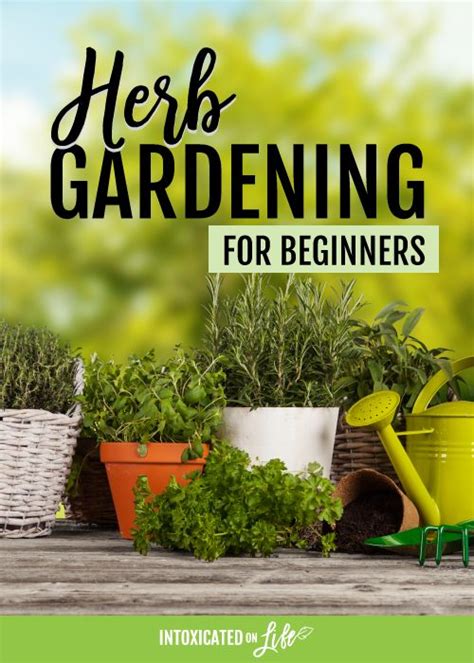 Ihr wollt einen hauch extravaganz in euren garten bringen? Kräutergarten für Anfänger #Garten für Anfänger - Garten Ideen