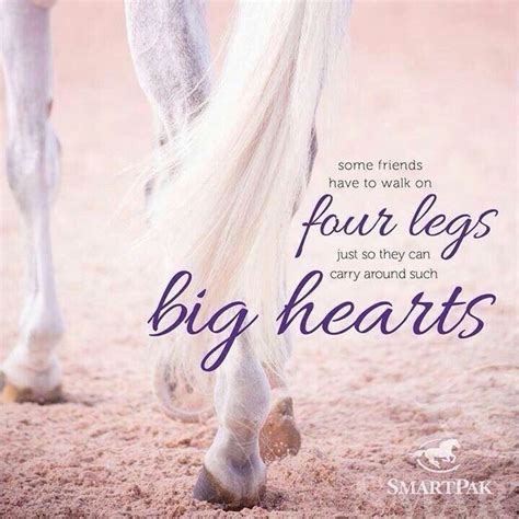 Inspirational Horse Quotes Love For Horses