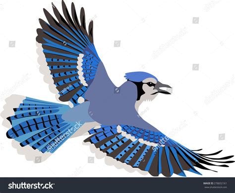 Stock Vector Cute Flying Blue Jay With Beautiful Wings 278832161