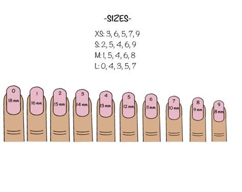 You get to pick from 11 shapes and four sizes—a size chart helps you determine which is the best fit for. Press on nails sizes - Nailslefleur