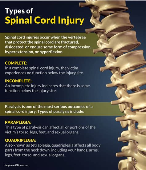 Spinal Cord Injury Lawyers Sarpy County Injury Law Firm